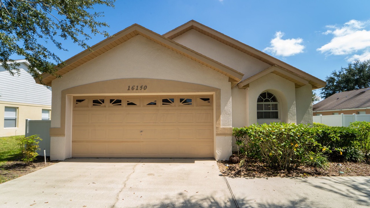 Photo of Others in Orange Tree