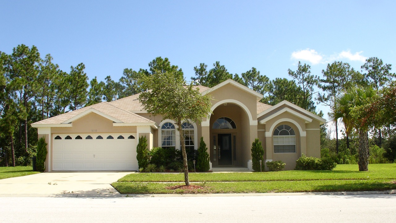 Photo of Others in Orange Tree