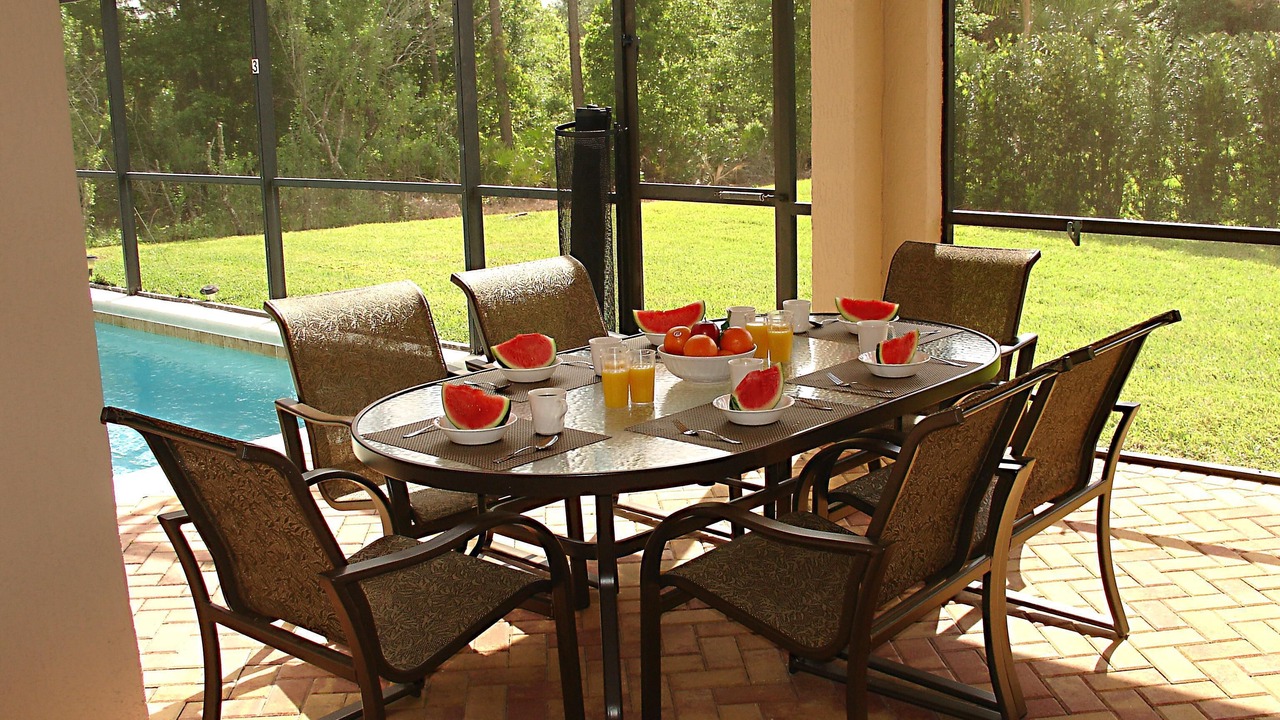 Photo of Others in Orange Tree