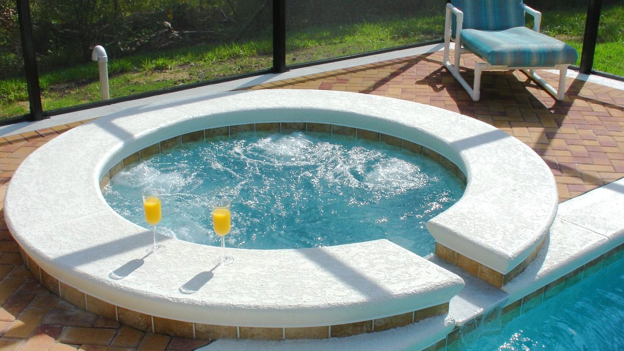 Photo of Others in Orange Tree