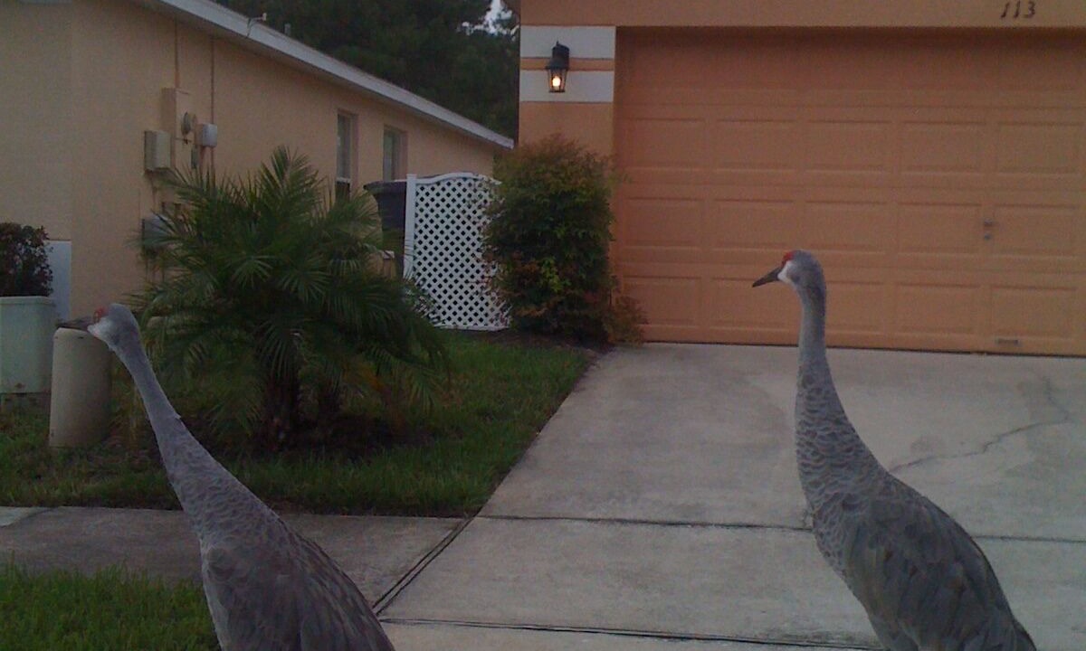 Photo of Outdoor in Sandy Ridge