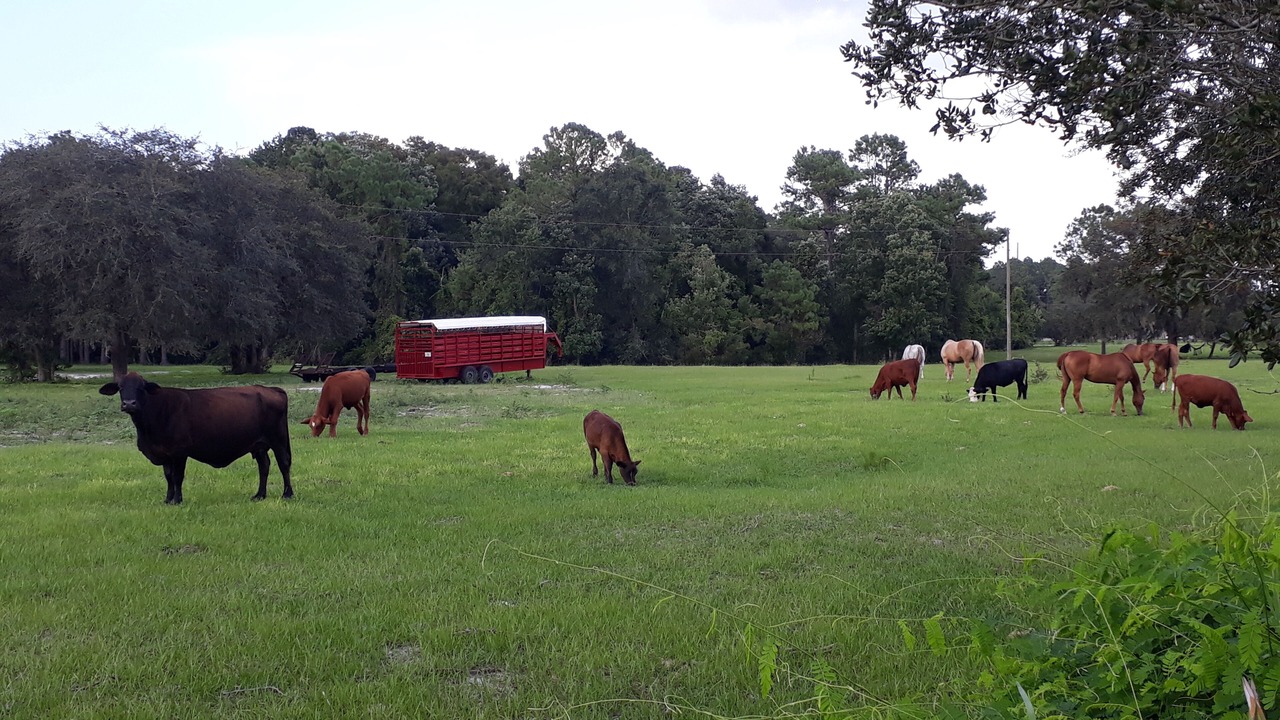 Photo of Others in Sandy Ridge