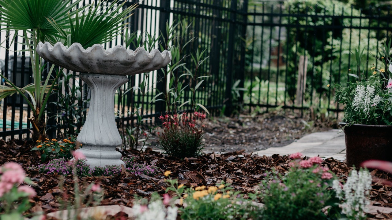 Photo of Outdoor in College Park