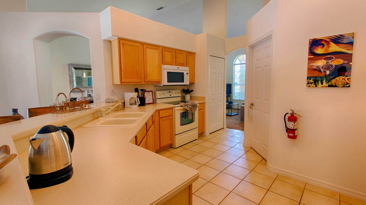 Photo of Others in Orange Tree