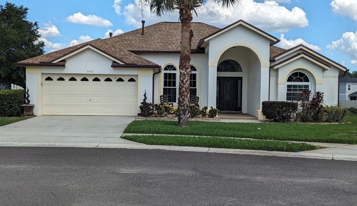 Photo of Others in Orange Tree