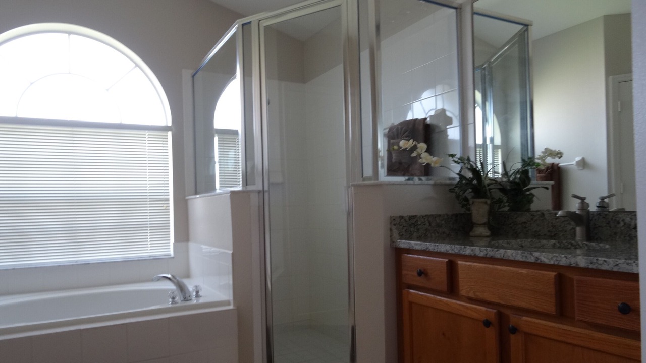 Photo of Others in Orange Tree