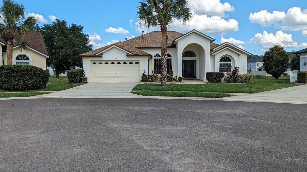 Photo of Others in Orange Tree