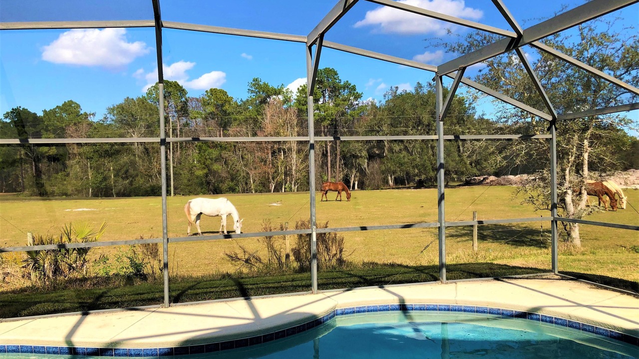 Photo of Outdoor in Sandy Ridge