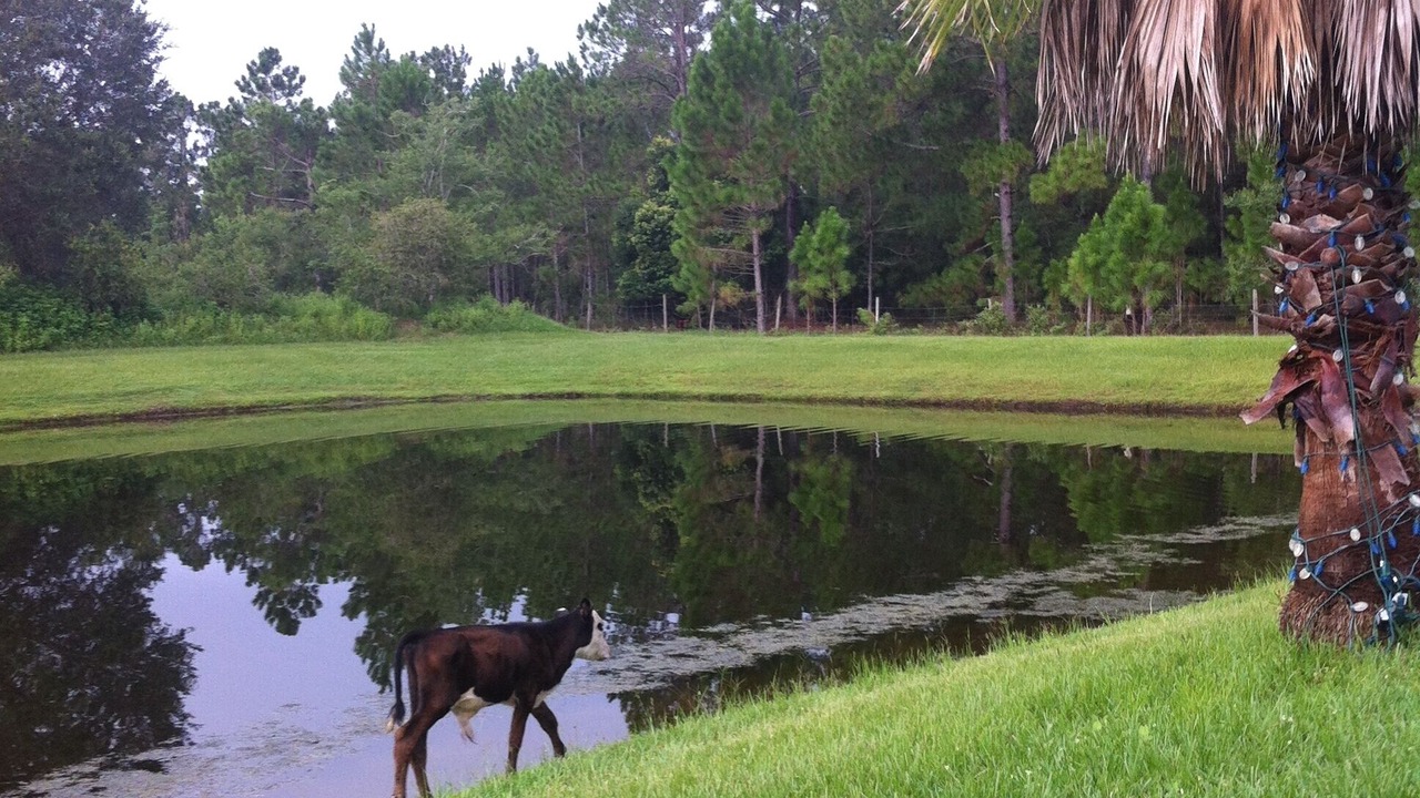 Photo of Others in Windward Cay