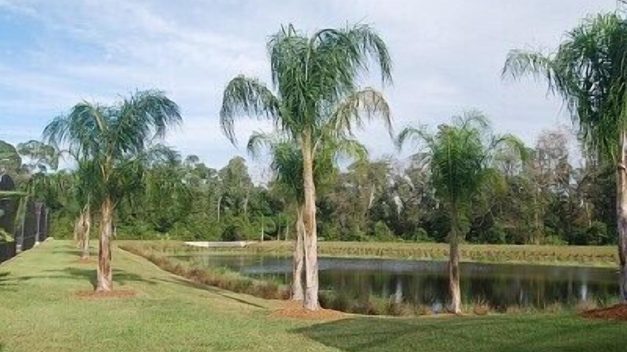 Photo of Outdoor in Lake Wilson Preserve
