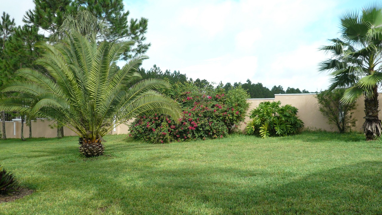 Photo of Outdoor in Calabay Parc