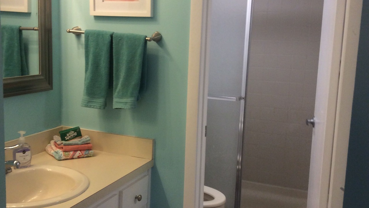 Photo of Bathroom in Ventura