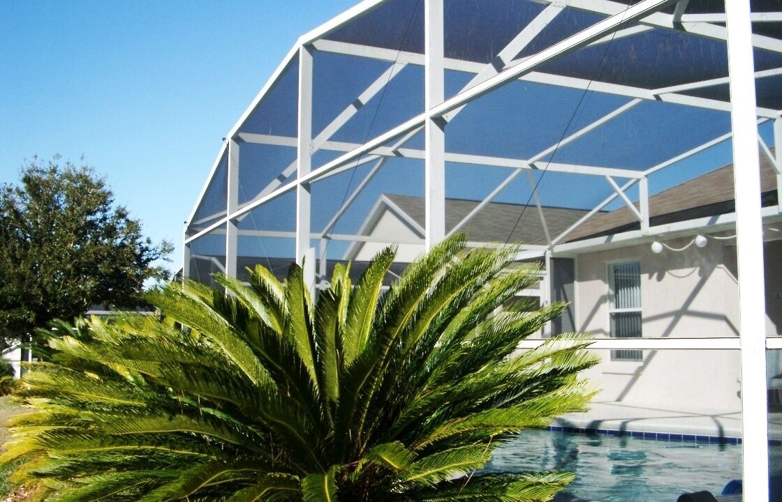 Photo of Outdoor in Florida Pines