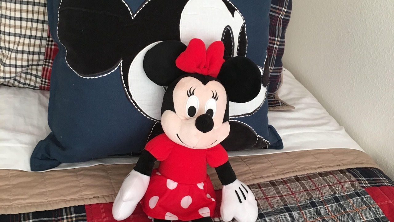 Photo of Others in Orange Tree