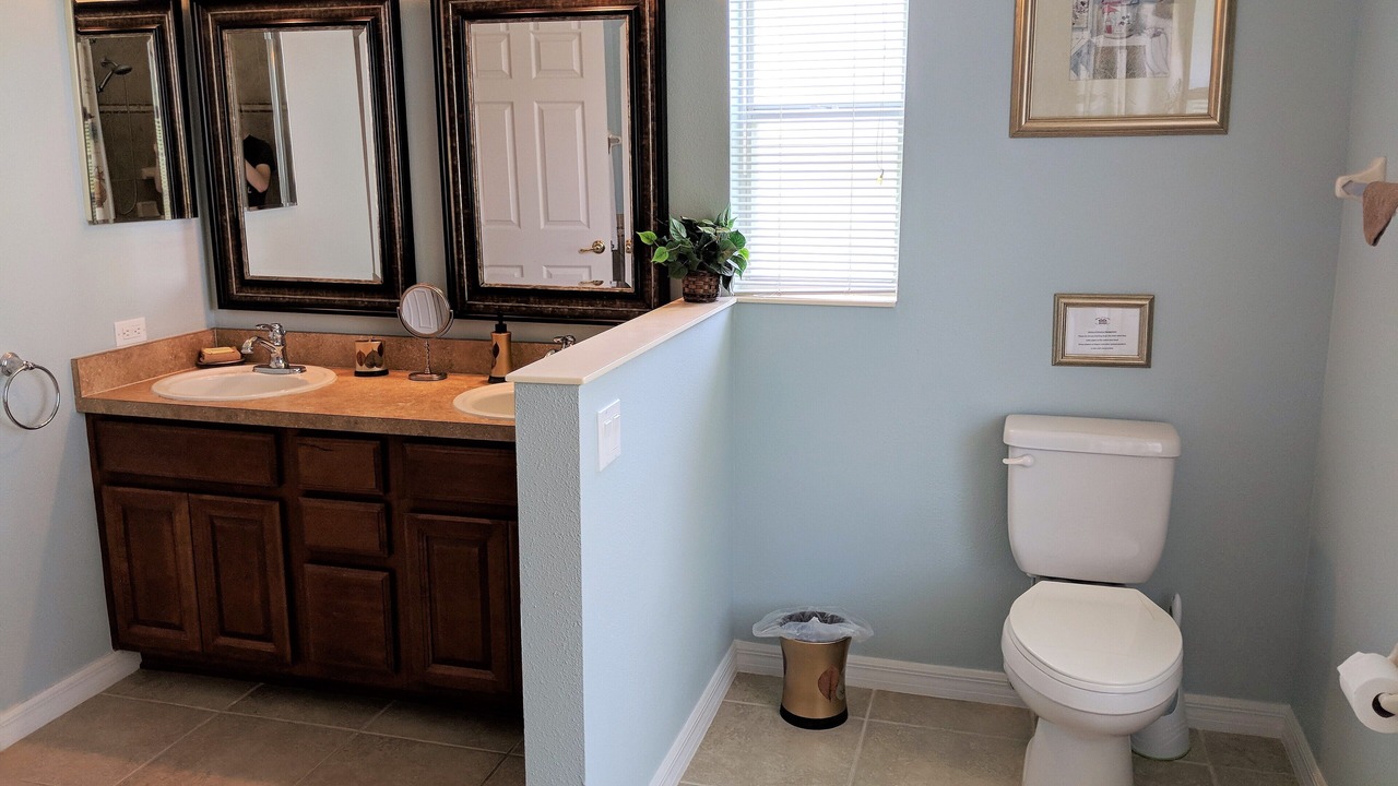 Photo of Others in Orange Tree