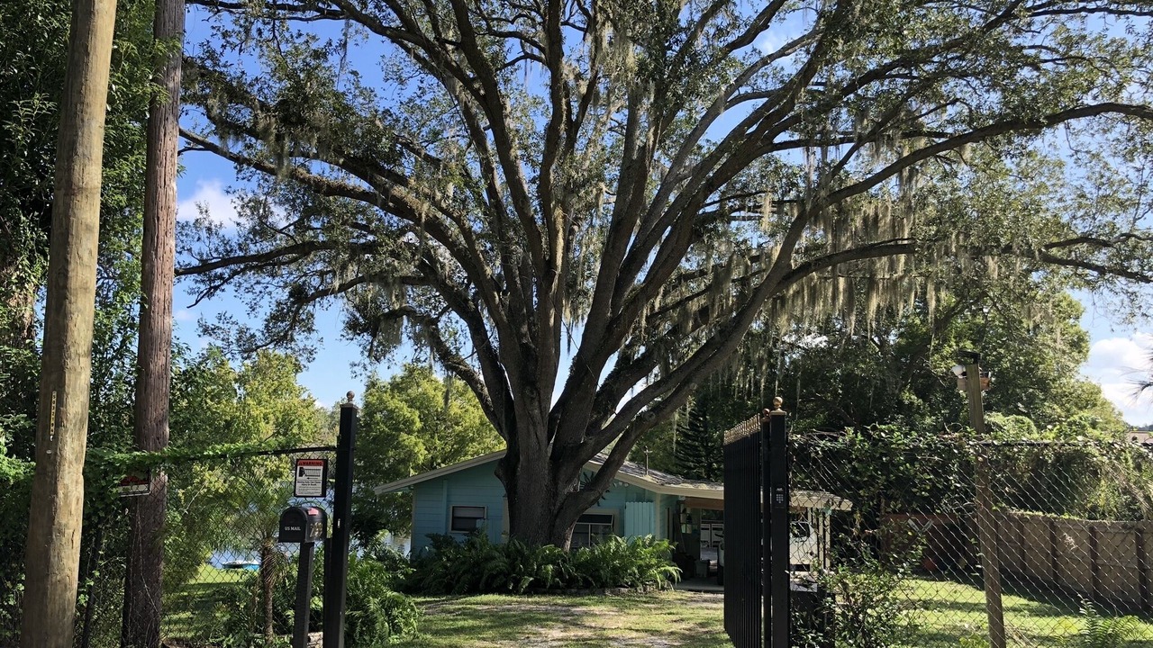 Photo of Outdoor in Altamonte Springs
