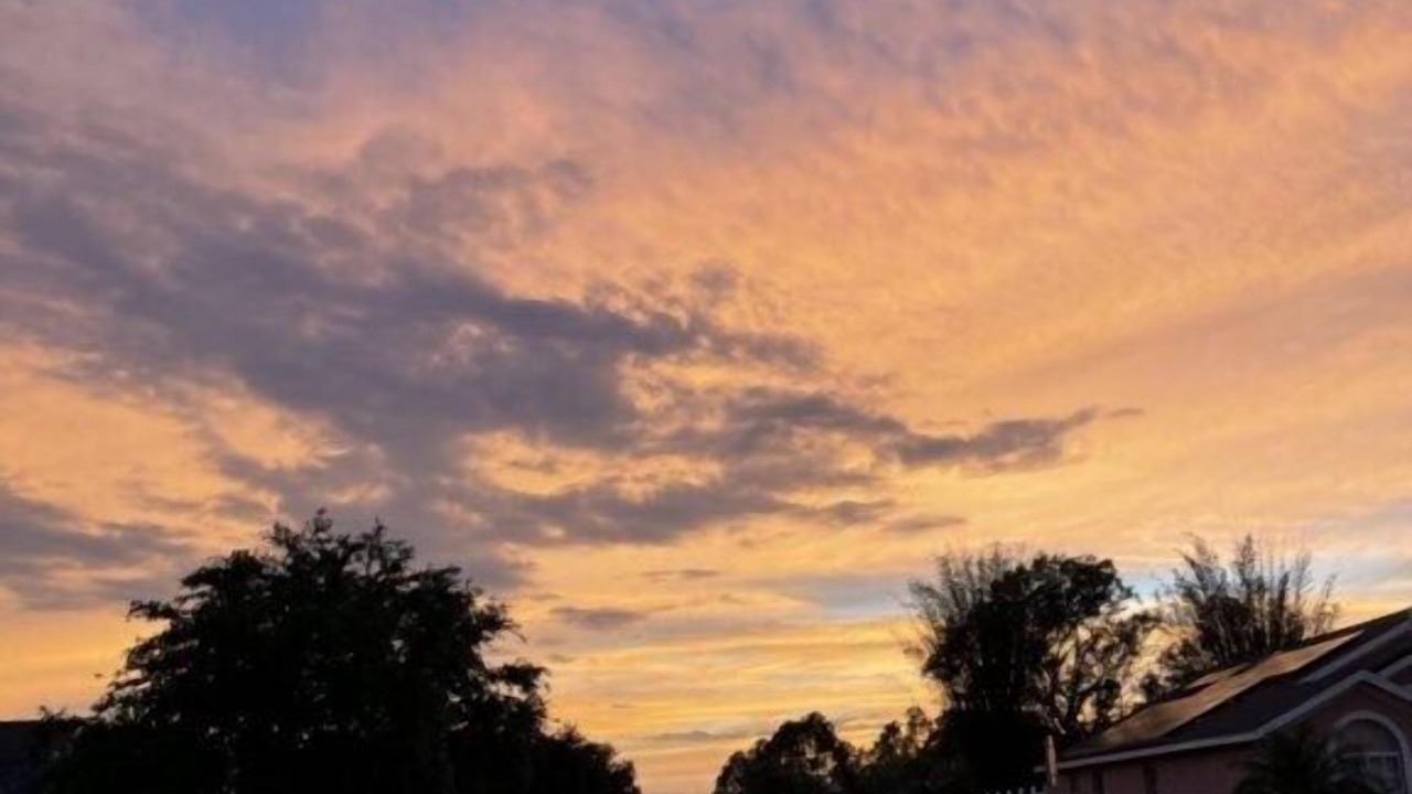 Photo of Others in Florida Pines