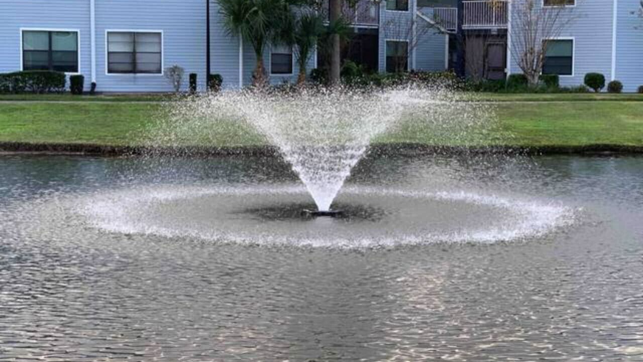 Photo of Outdoor in Ventura