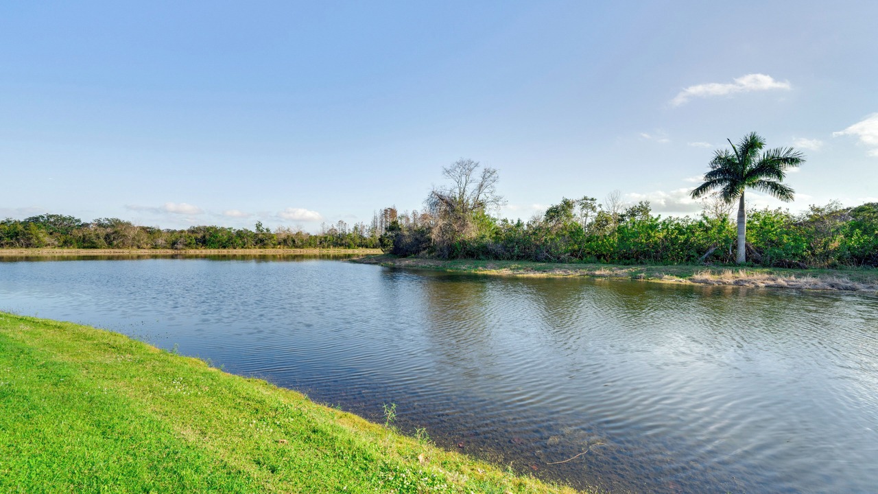 Photo of Others in Buena Ventura Lakes