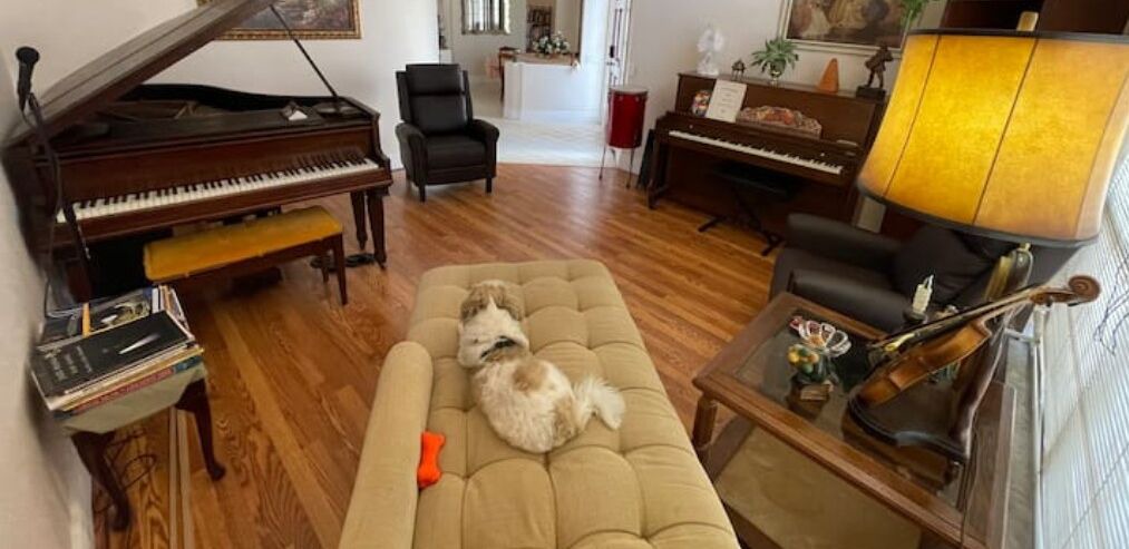 Photo of Livingroom in Ventura