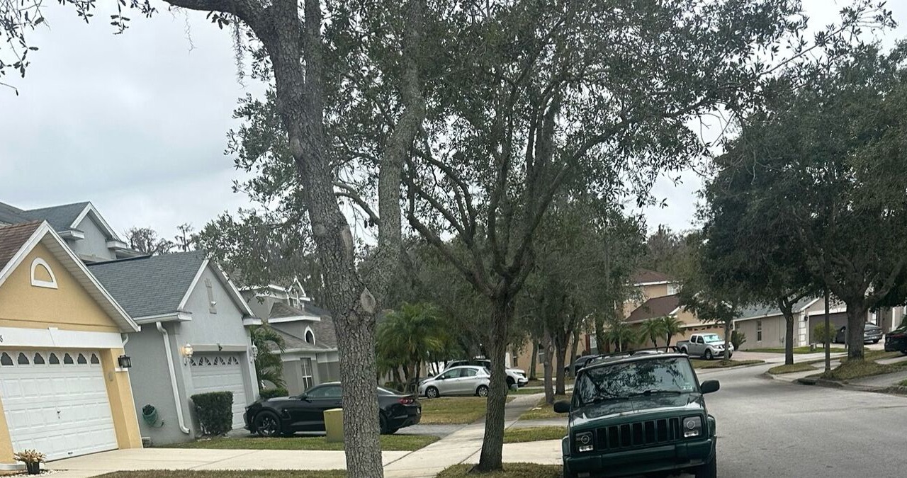Photo of Outdoor in Vista East