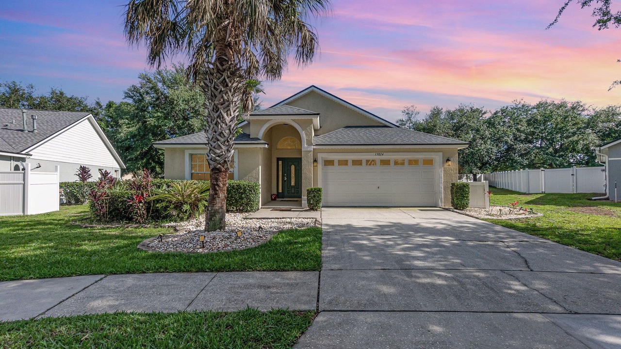 Photo of Others in Orange Tree