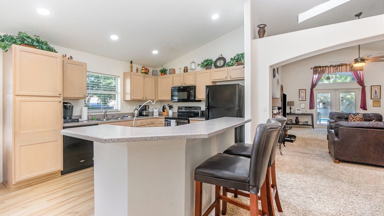 Photo of Others in Orange Tree