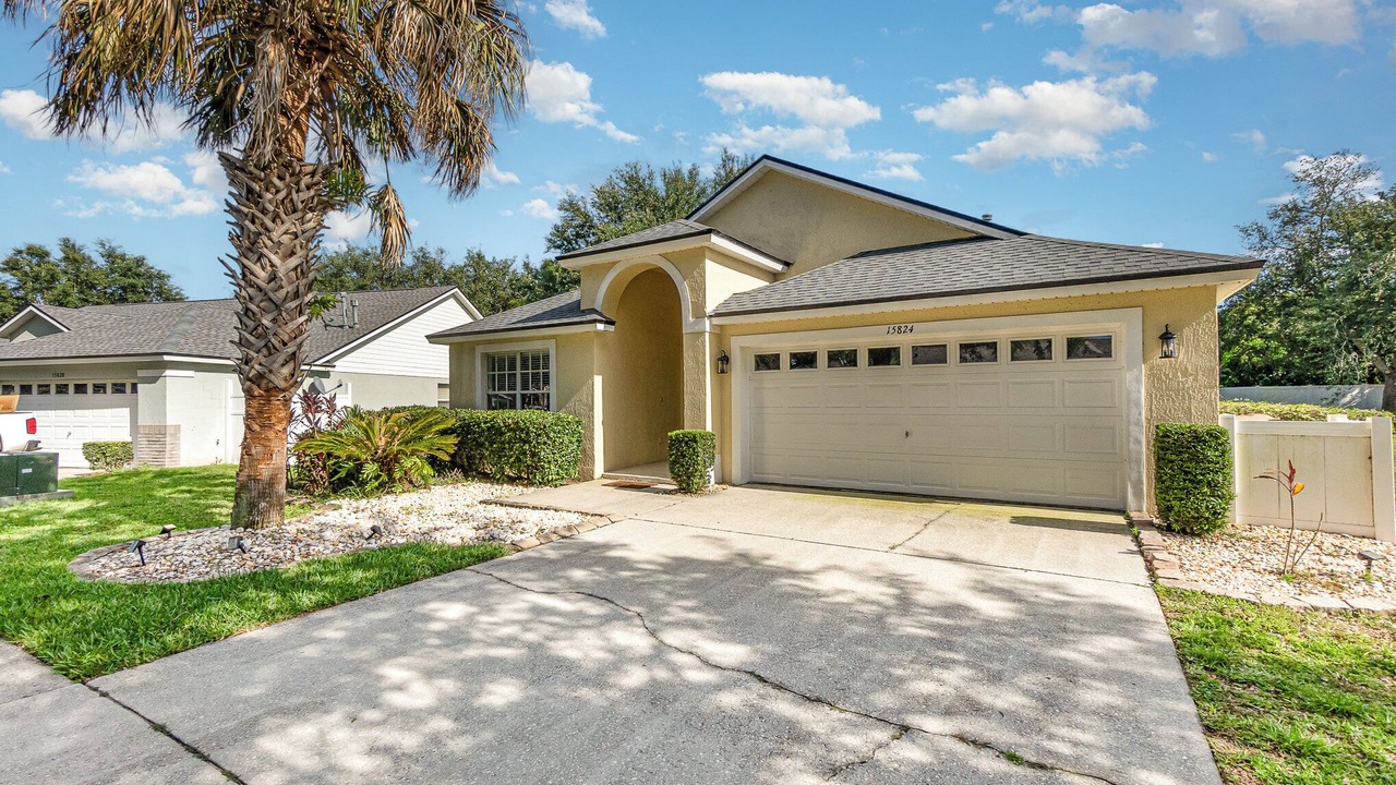 Photo of Others in Orange Tree