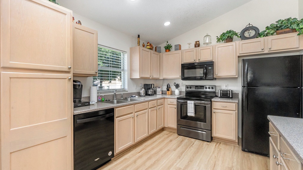 Photo of Others in Orange Tree