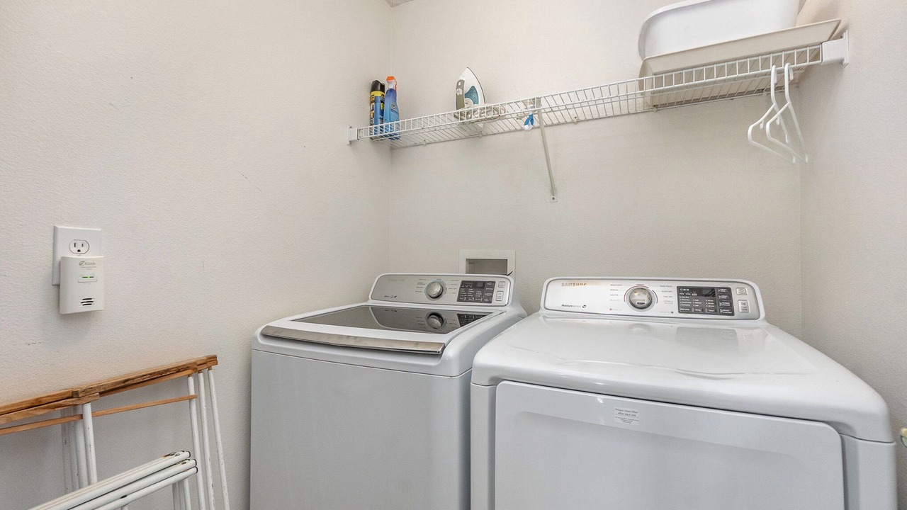 Photo of Others in Orange Tree