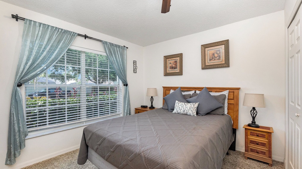 Photo of Others in Orange Tree