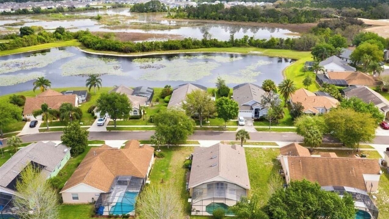 Photo of Outdoor in Orange Tree