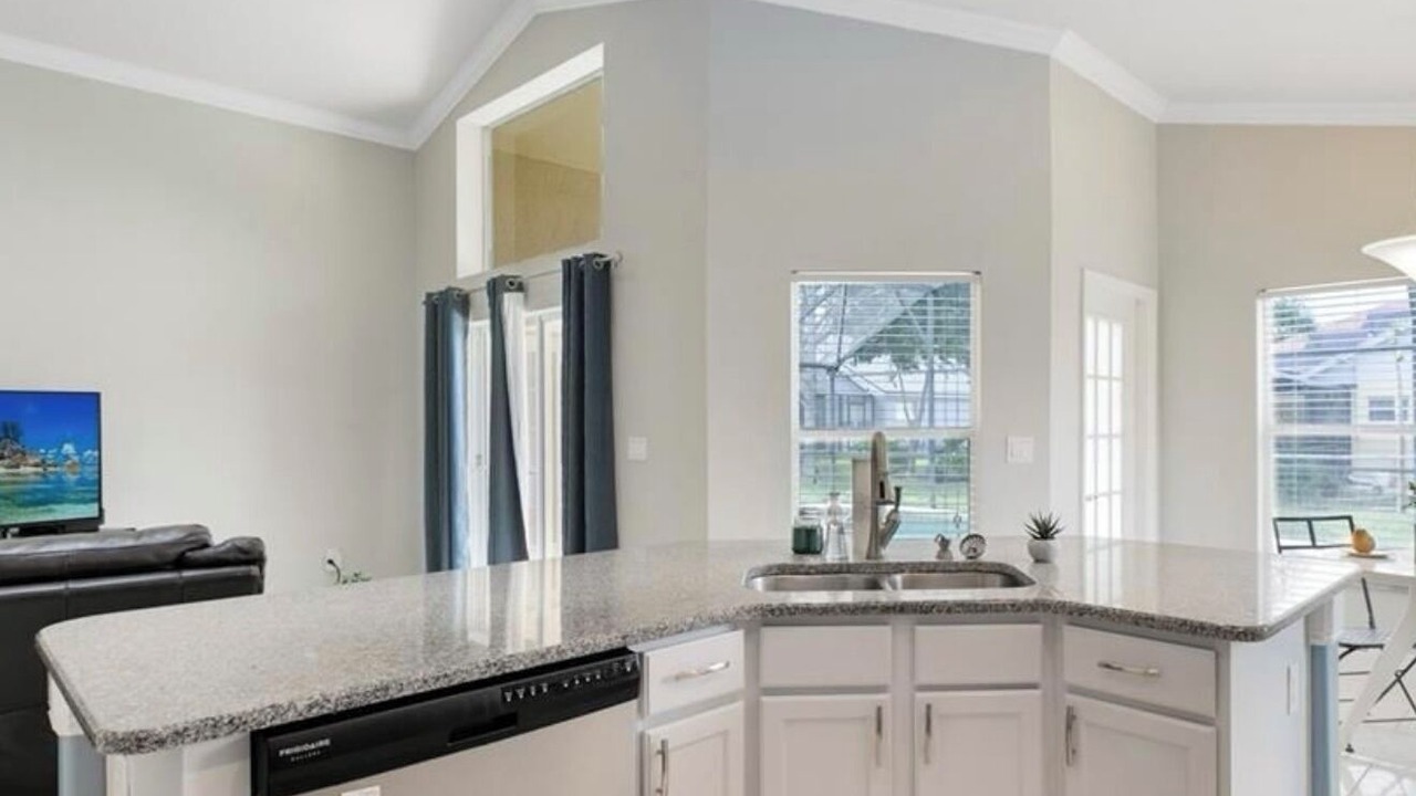 Photo of Others in Orange Tree