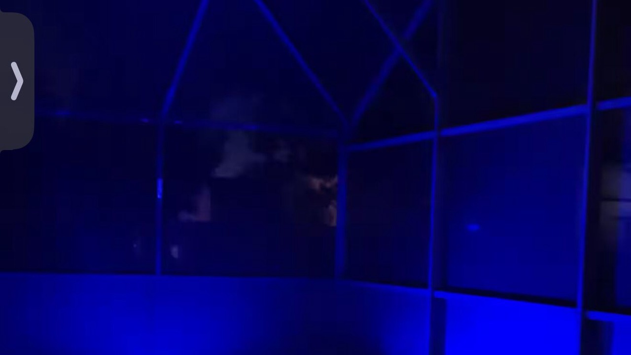 Photo of Outdoor in Orange Tree