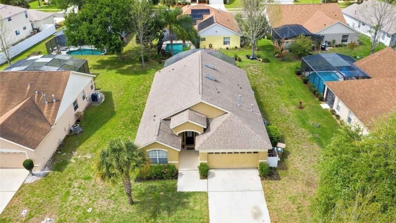 Photo of Outdoor in Orange Tree