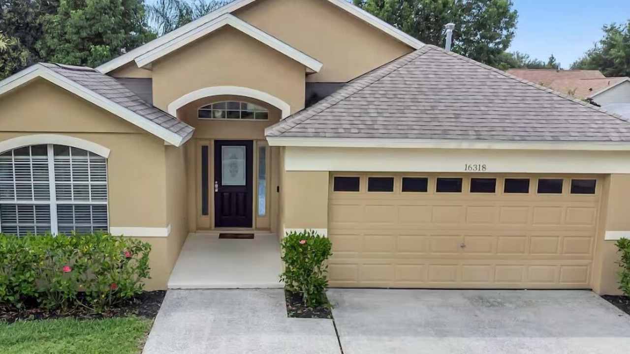 Photo of Outdoor in Orange Tree