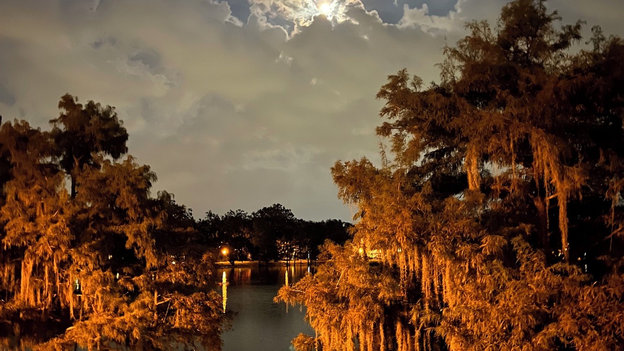 Photo of Others in Lake Davis - Greenwood