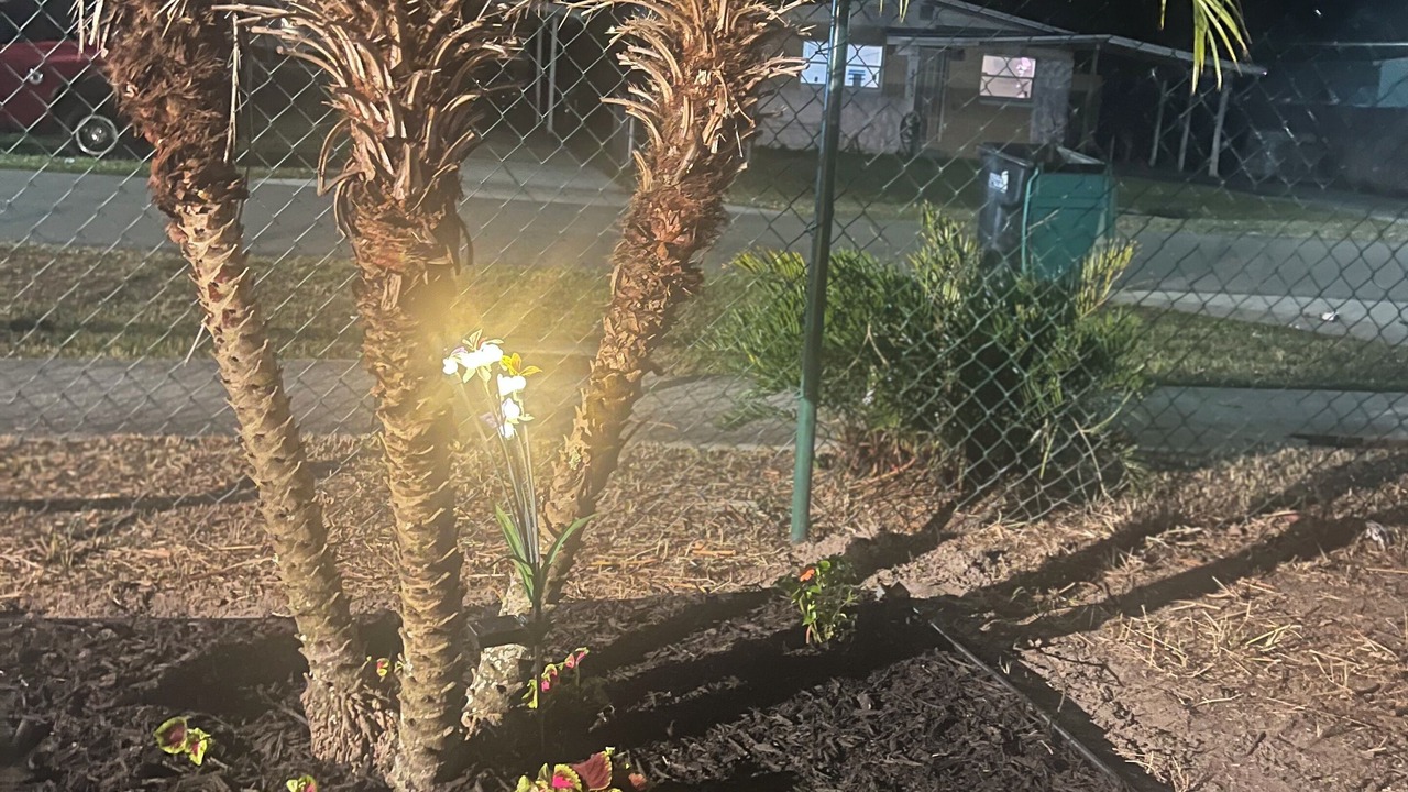 Photo of Outdoor in Southwest Orlando