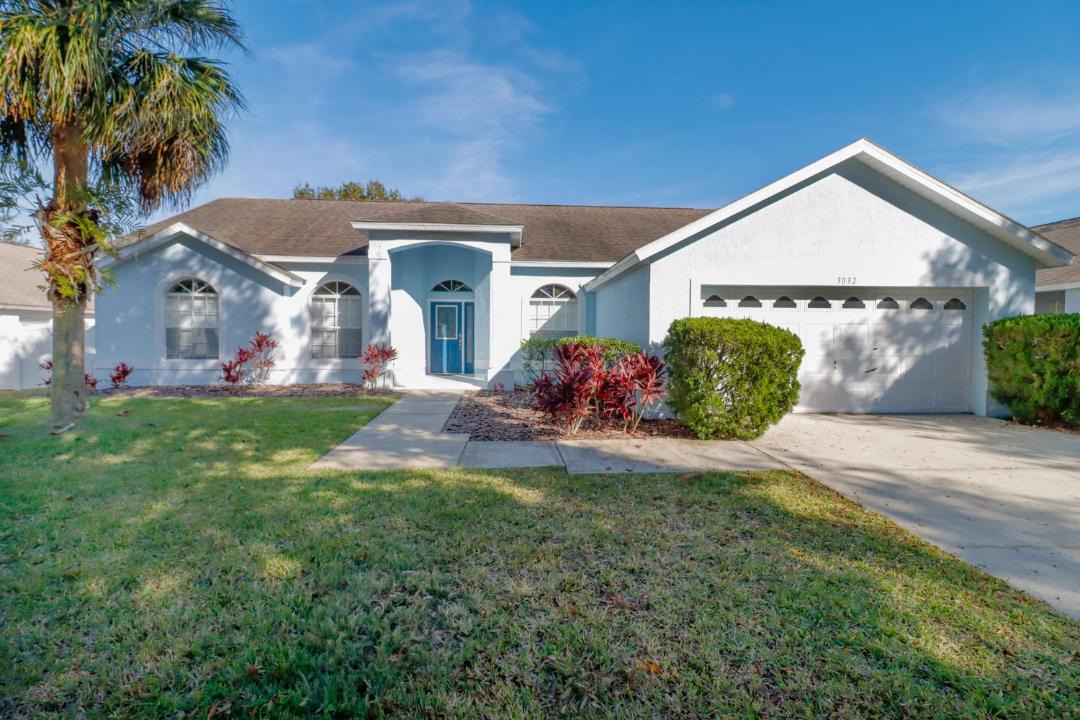 Photo of Others in Orange Tree