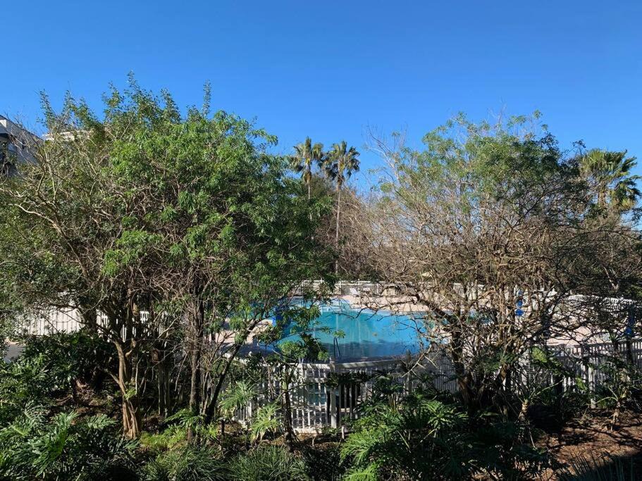 Photo of Others in Southwest Orlando