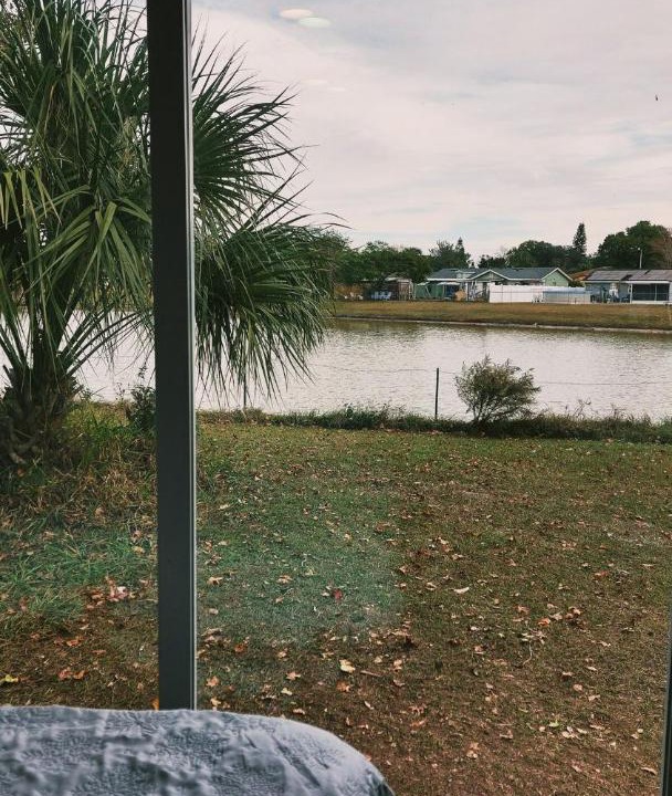 Photo of Others in Buena Ventura Lakes