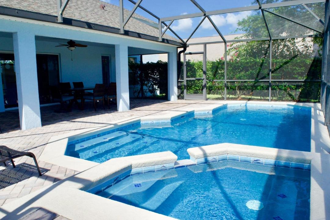 Photo of Others in Orange Tree