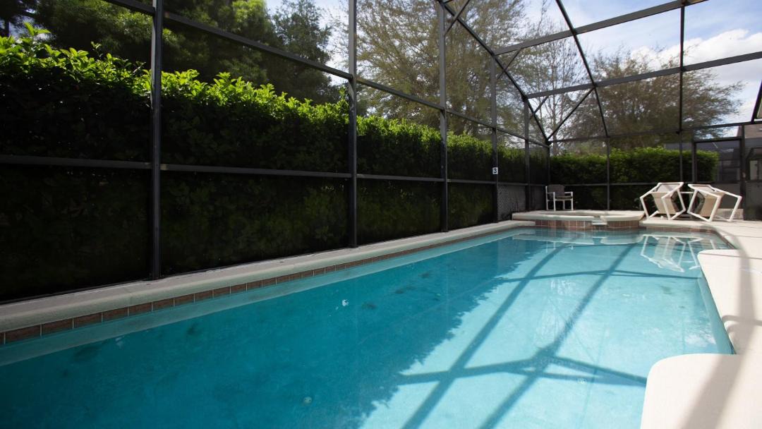 Photo of Others in Orange Tree