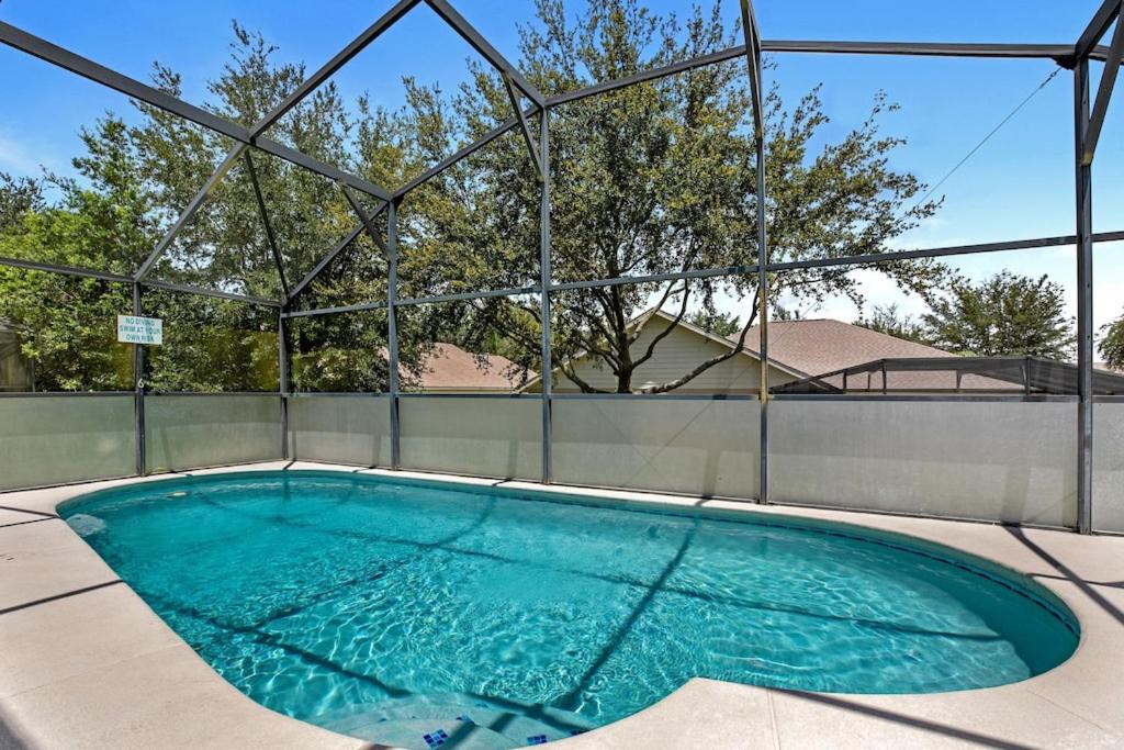 Photo of Others in Orange Tree