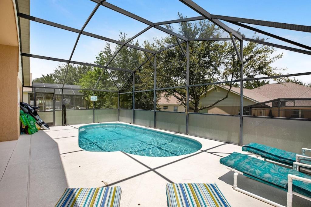 Photo of Others in Orange Tree