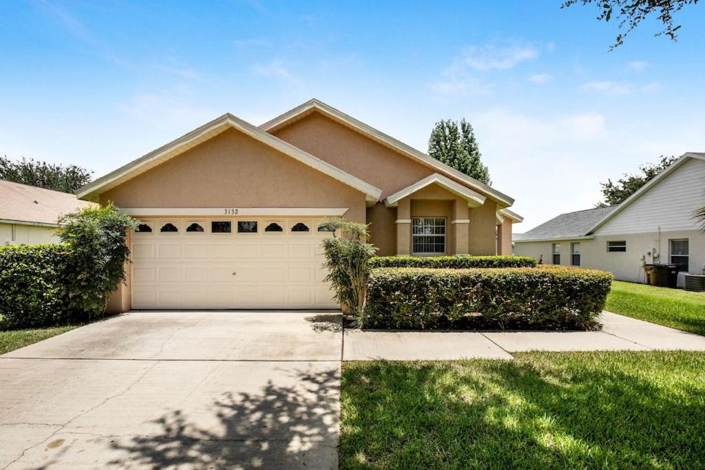 Photo of Others in Orange Tree