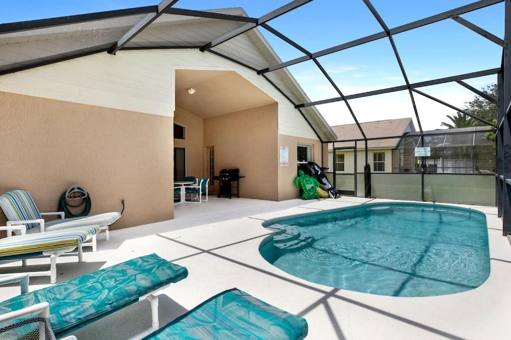 Photo of Others in Orange Tree