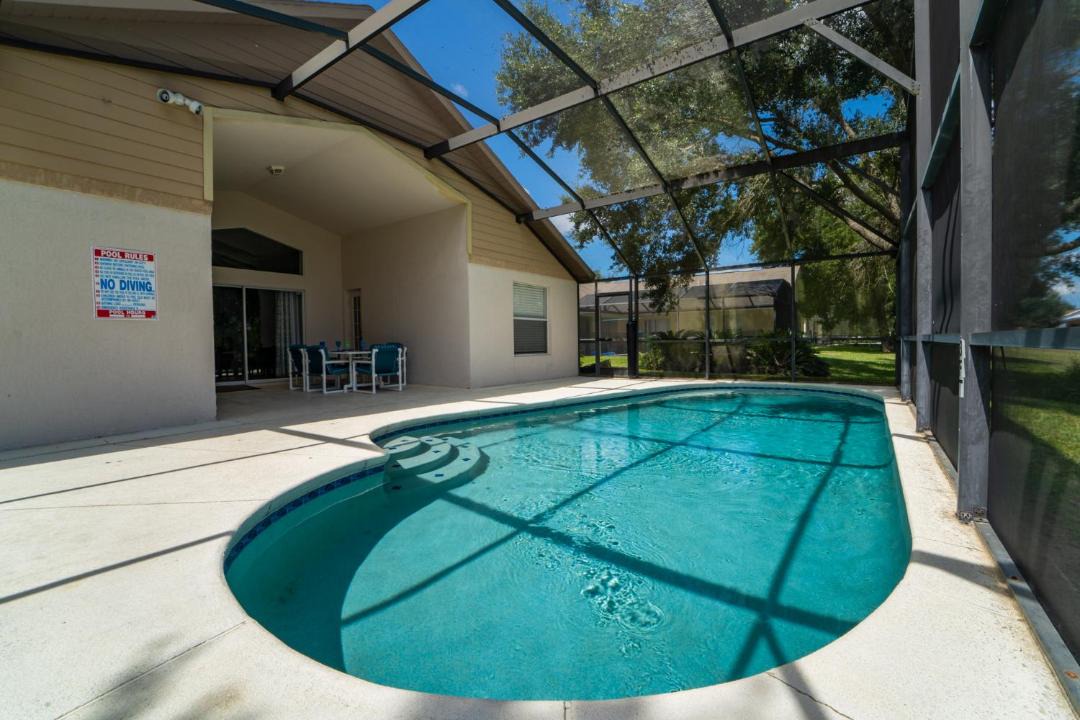 Photo of Others in Orange Tree