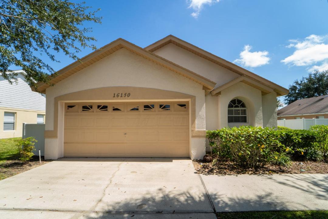 Photo of Others in Orange Tree