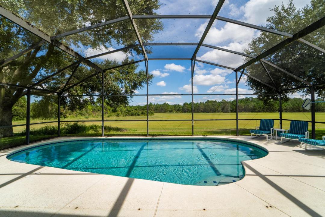 Photo of Others in Orange Tree